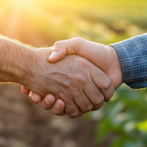 Two hands shaking with a sunny field in the background